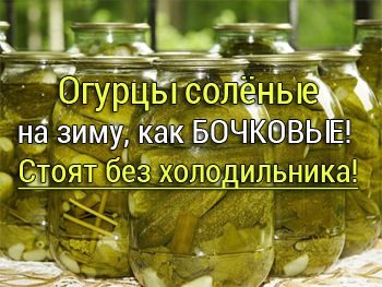 соленые огурцы для хранения в квартире