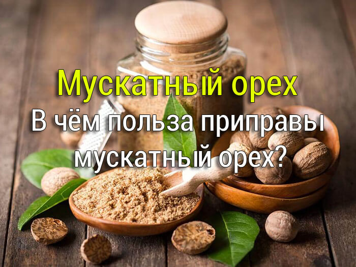 В чём польза приправы мускатный орех?