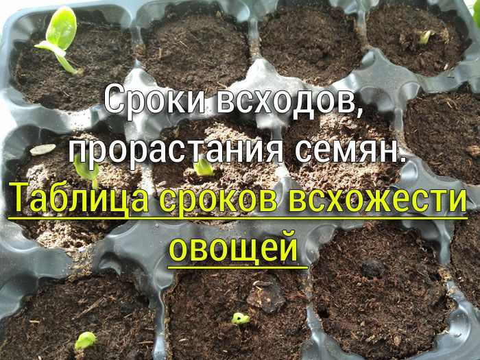 Таблица сроков всхожести / прорастания семян