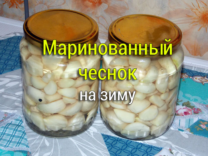 маринованный чеснок на зиму рецепт