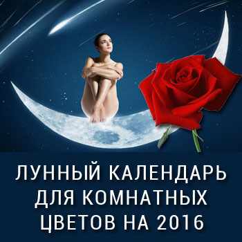 лунный календарь для комнатных цветовна 2015 год
