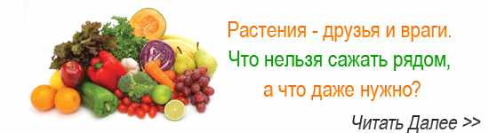 что рядом с чем сажать