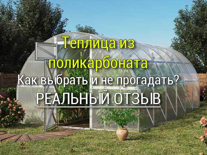 Как выбрать теплицу из поликарбоната 