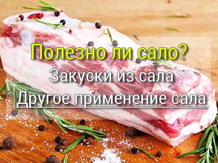 Закуски из сала рецепты