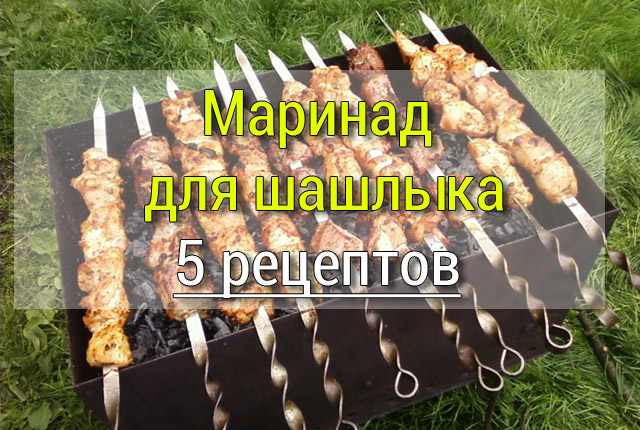 маринад для шашлыка 5 рецептов