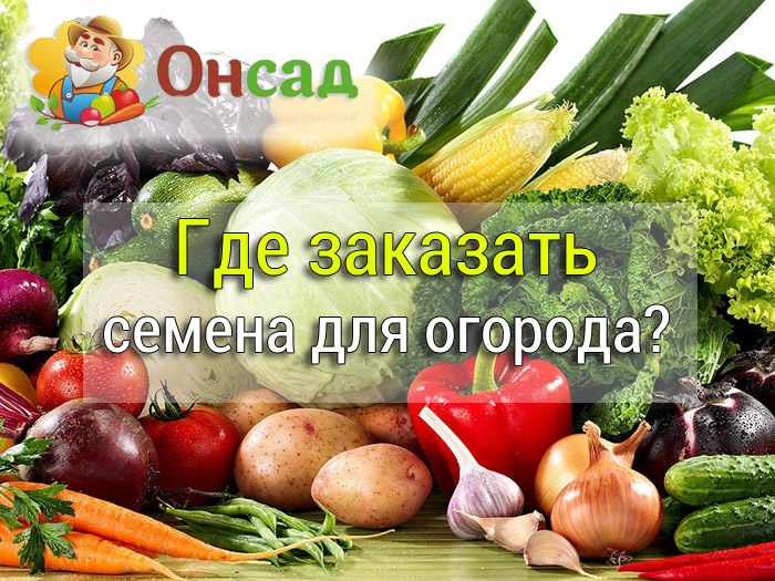 купить семена почтой