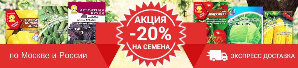 купить семена интернет-магазин