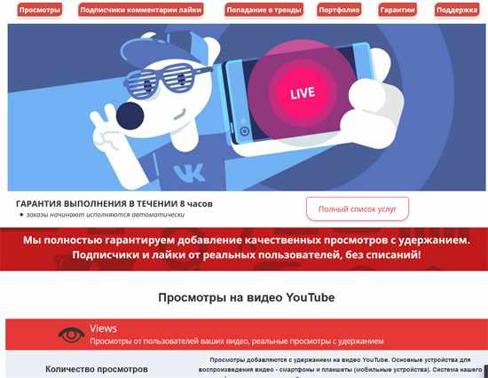раскрутка в ютубе заказать