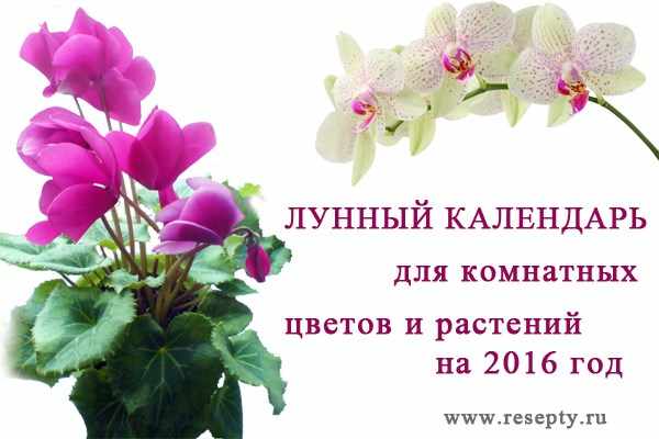 лунный календарь для комнатных цветов на 2016 год