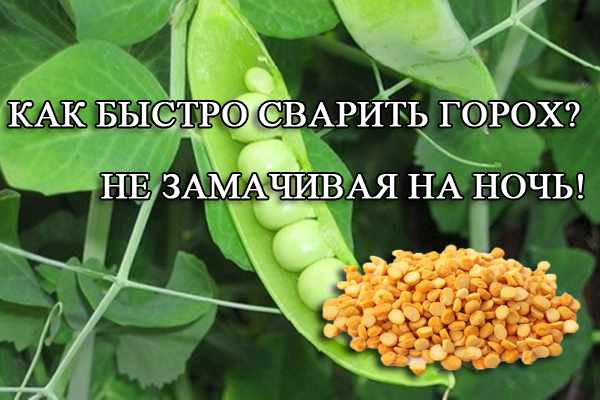 как быстро сварить горох в пюре