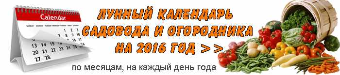 лунный календарь садовода и огородника 2016