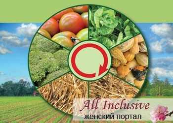 Так ли уж нужен севооборот на участке?