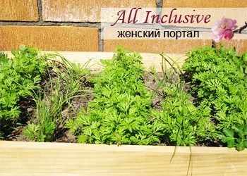 Как правильно поливать морковь и лук?