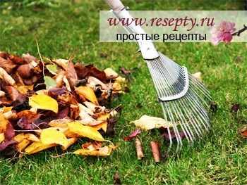 Какие работы проводим на даче в мае?