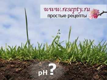 Сорняки - индикаторы кислотности почвы