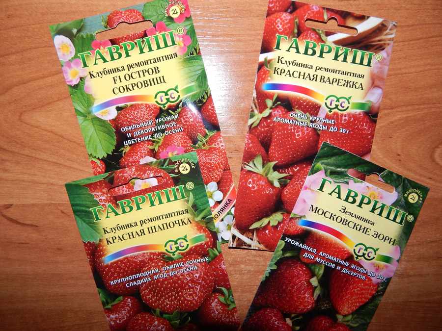 семена клубники