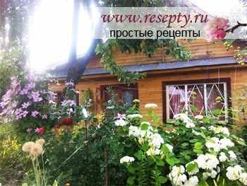 Купили дачный участок. С чего начать?