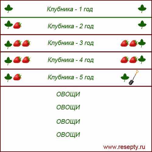 посадка клубники секторами