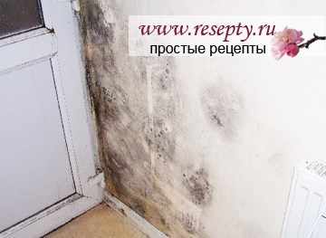 Как избавиться от плесени в ванной, на стенах?