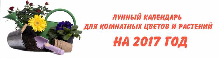 лунный календарь для комнатных цветов 2017