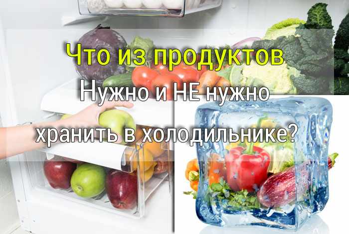 что нужно хранить в холодильнике