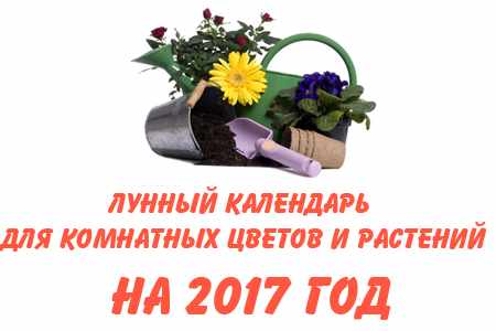 Лунный календарь для комнатных цветов на 2017 год