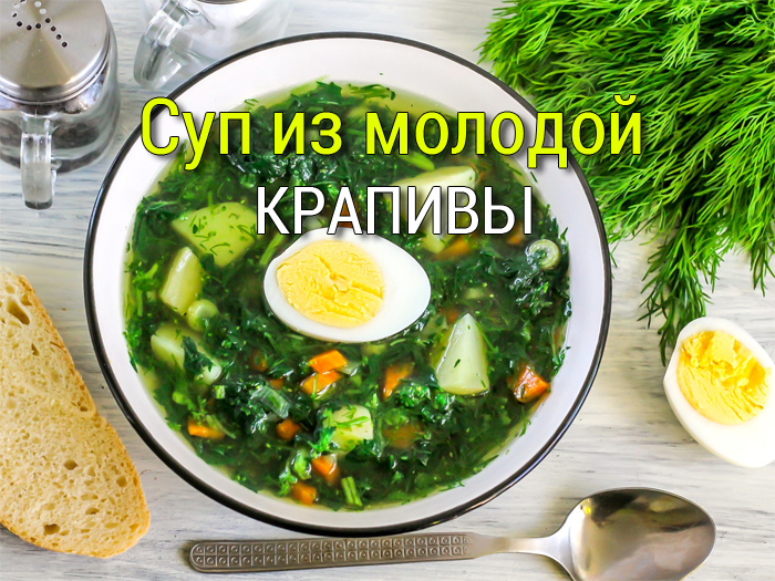 суп из молодой крапивы рецепт