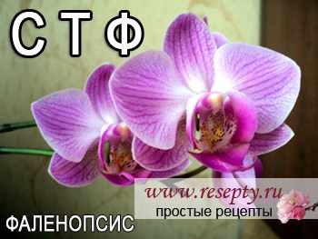 Таблица комнатных растений. "С" "Т" "Ф"