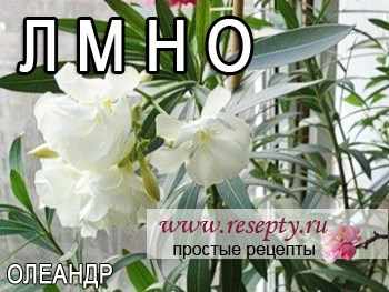 Таблица комнатных растений. "Л" "М" "Н" "О"