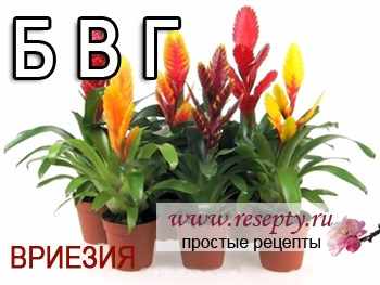 Tаблица комнатных растений. "Б" "В" "Г"